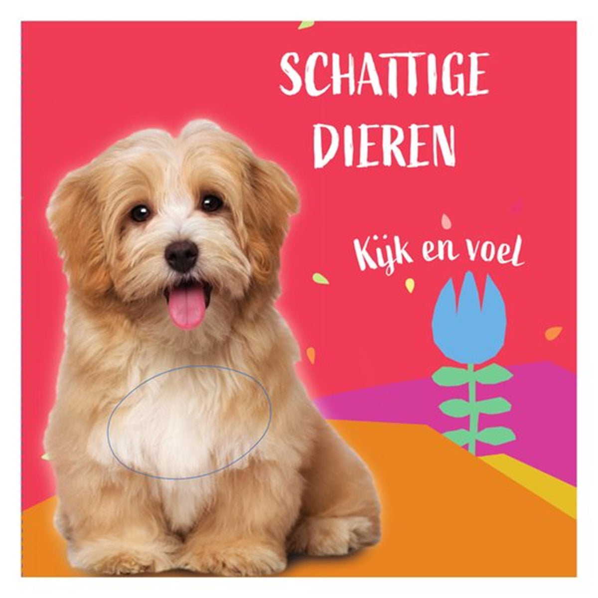 Z1 voelboekje hondje