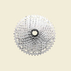 Spanninga - cassette csrz800 12v 11-46t zilver