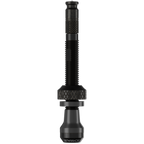 Schwalbe ventiel scv