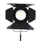 Lampe Spot LED Bicolore Falcon Eyes Dimmable CLL-3000TDX sur 230V