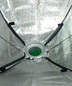 Falcon eyes softbox 75x150 cm + honingraat sbq-75150hc