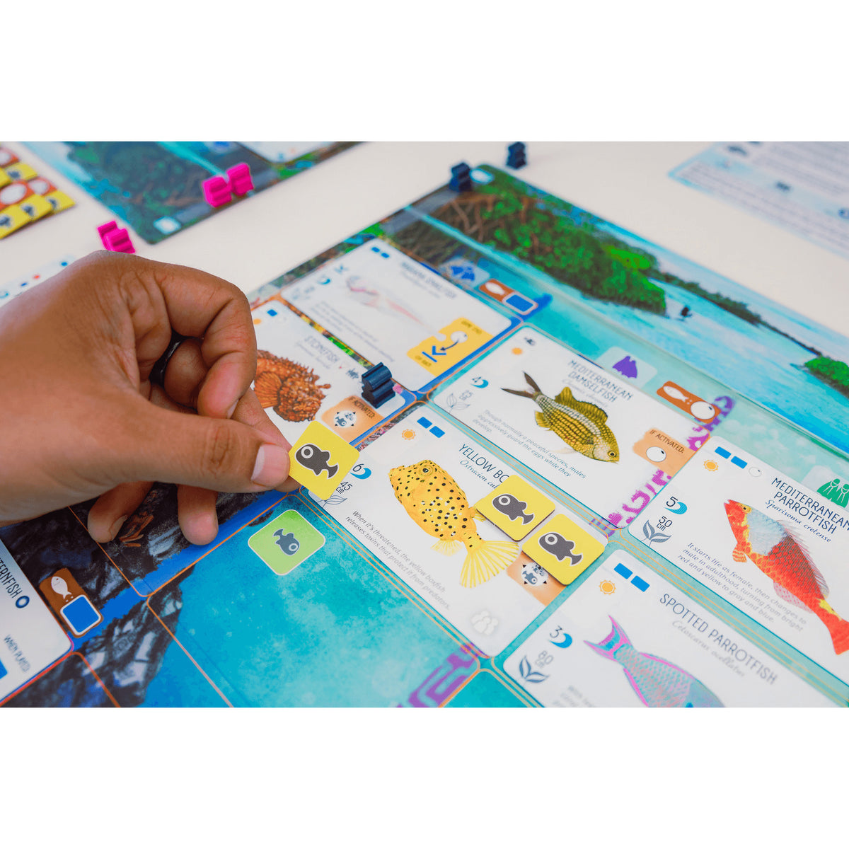 999Games - 999Games 999 games finspan bordspel (nederlands 1 - 5 spelers 60 minuten vanaf 10 jaar)