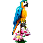 Lego creator 3-in-1 - exotische papegaai constructiespeelgoed (31136)