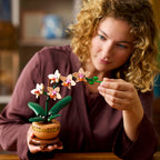 Lego botanicals 10343 miniorchidee