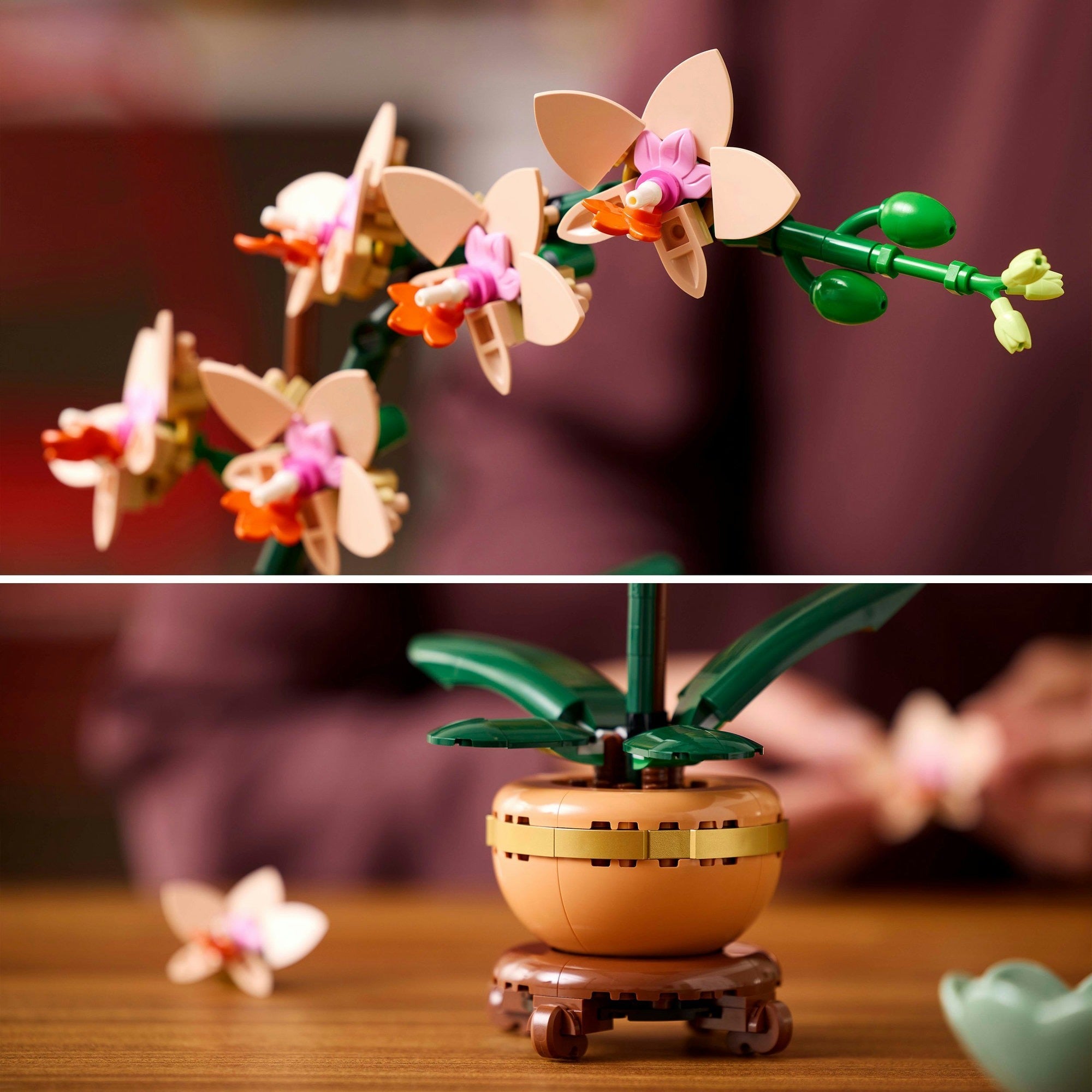Lego botanicals 10343 miniorchidee