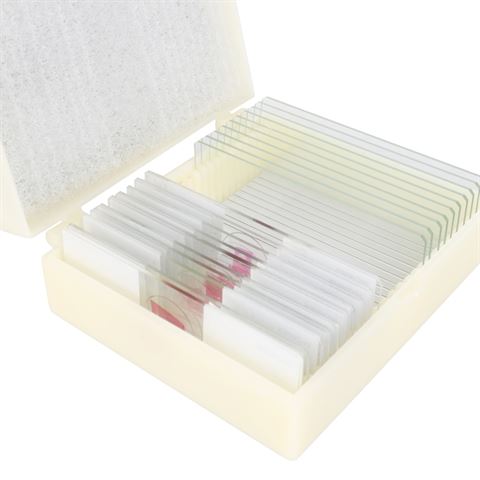 Konus preparaten set een druppel water (10 stuks)