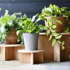 Esschert Design - Esschert Design plantentafeltje bamboe m dia25x11cm