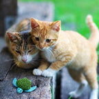 Kong Kat catnip turtle