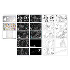 Totum disney 100 krasplaten sticker en kleurboek scratch art disney classics limited edition jubileum editie 100 jarig bestaan disney