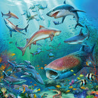 Ravensburger puzzel dieren in de oceaan - 3x49 stukjes - kinderpuzzel