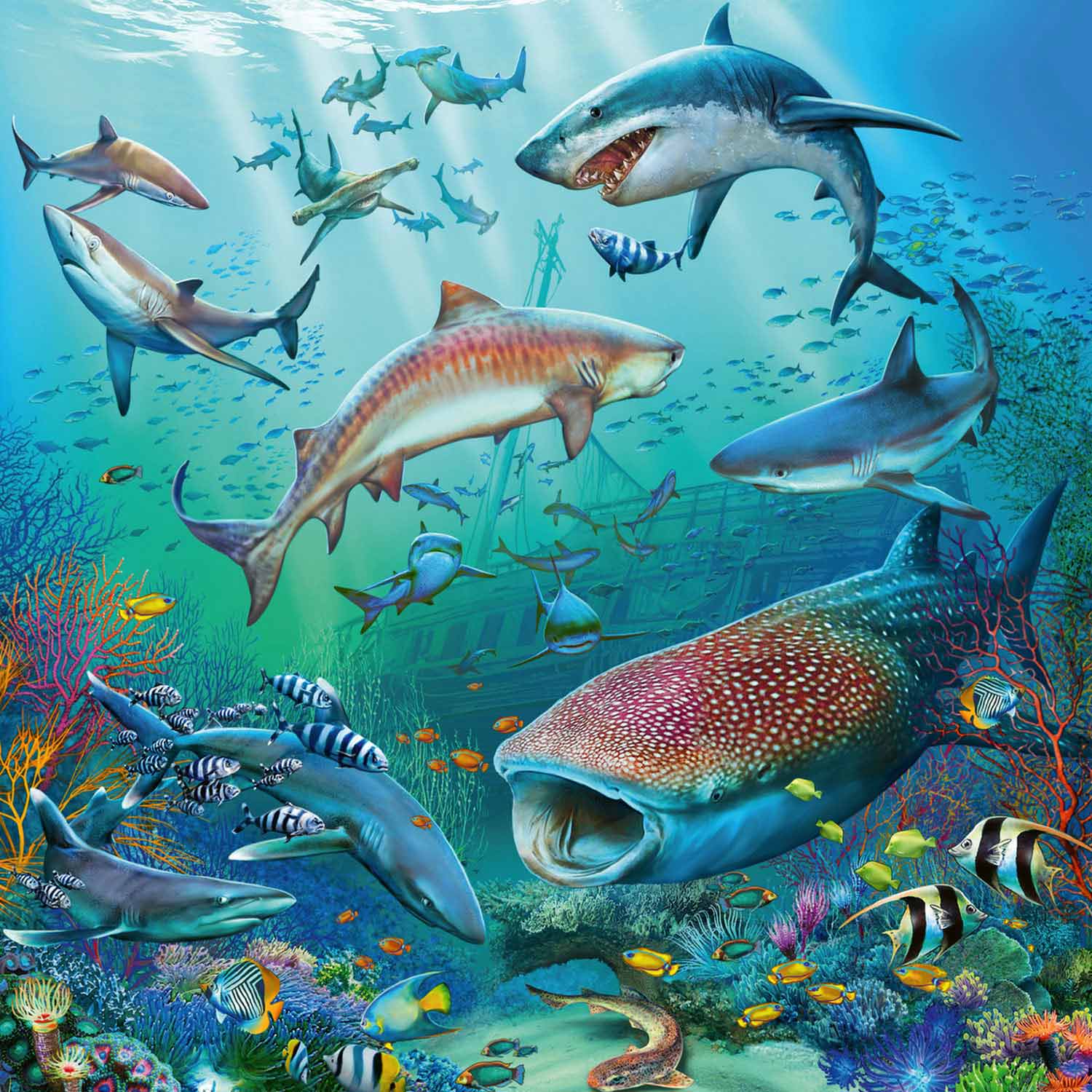 Ravensburger puzzel dieren in de oceaan - 3x49 stukjes - kinderpuzzel