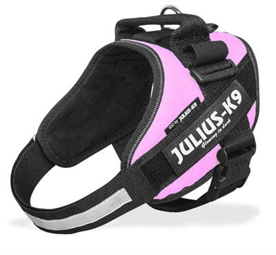 Julius k9 wereld bekende idc powertuig voor tekstlabels roze maat: mini