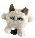 Grumpy cat Kattenkop