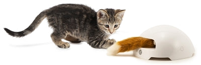Petsafe frolicat vossenhol - automatische kattenplager - kattenspeelgoed