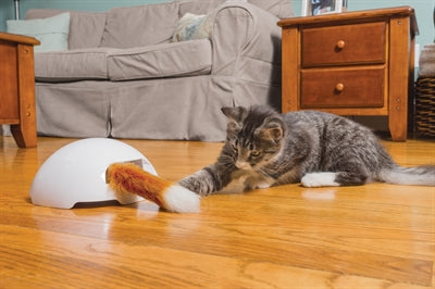 Petsafe frolicat vossenhol - automatische kattenplager - kattenspeelgoed