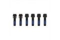 Ritchey stem bolts for wcs trail