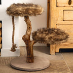 Designed by Lotte Designed by Lotte Krabmeubel Aviva 50x50x68 cm hout
