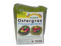 Ökonorm paas decoratie - groen gras