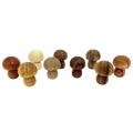 Papoose Toys Papoose Toys Mini WW Mushrooms 9pc