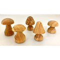 Papoose Toys Papoose Toys Mushrooms Hand Carved 5pc