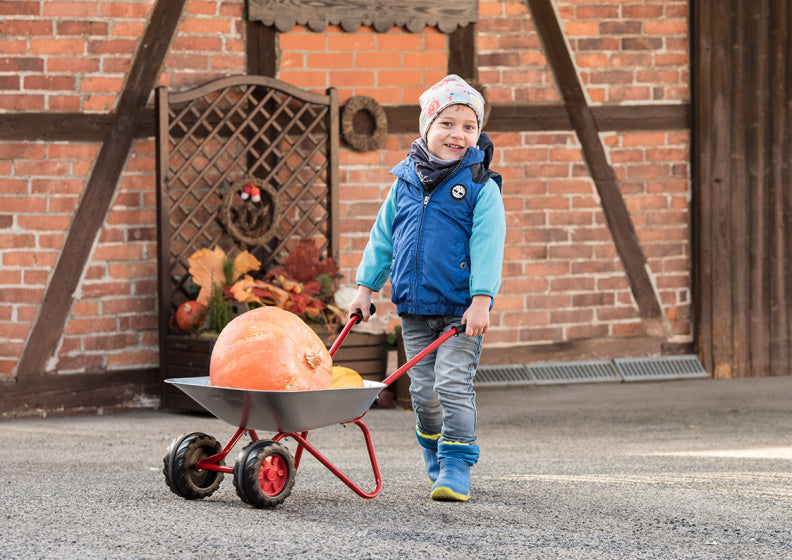 Rolly toys Stalen kruiwagen junior zilver rood